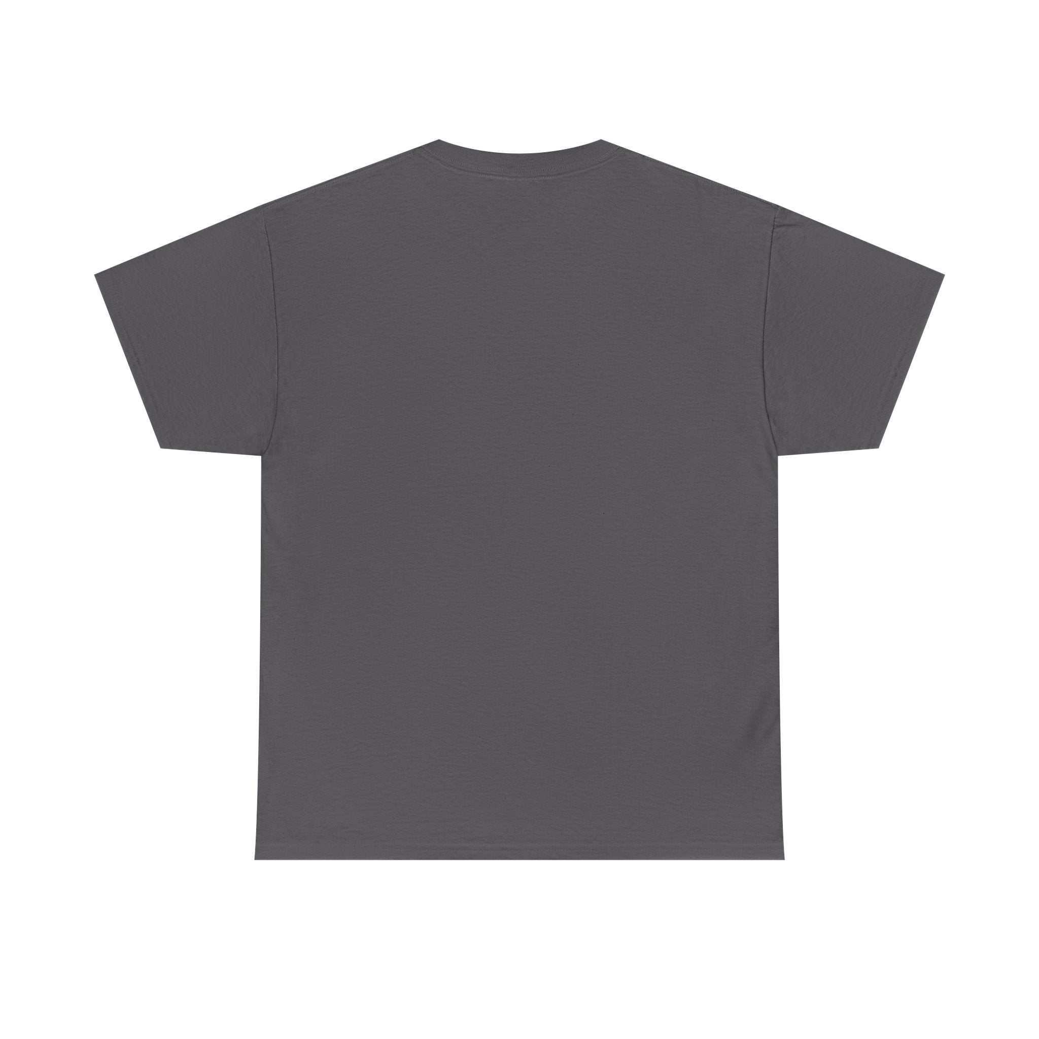Bill of Rights T-Shirt | US Constitution Rights Document Tee