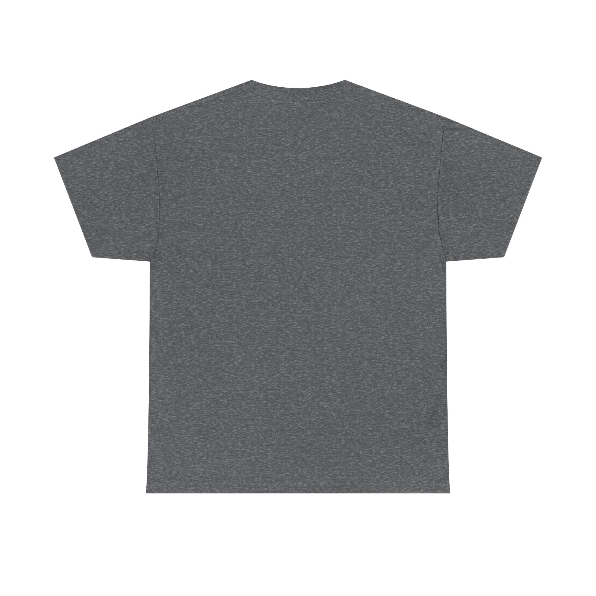 Nazi Punks Fuck Off Tee | Anti-Fascist Record Graphic Shirt
