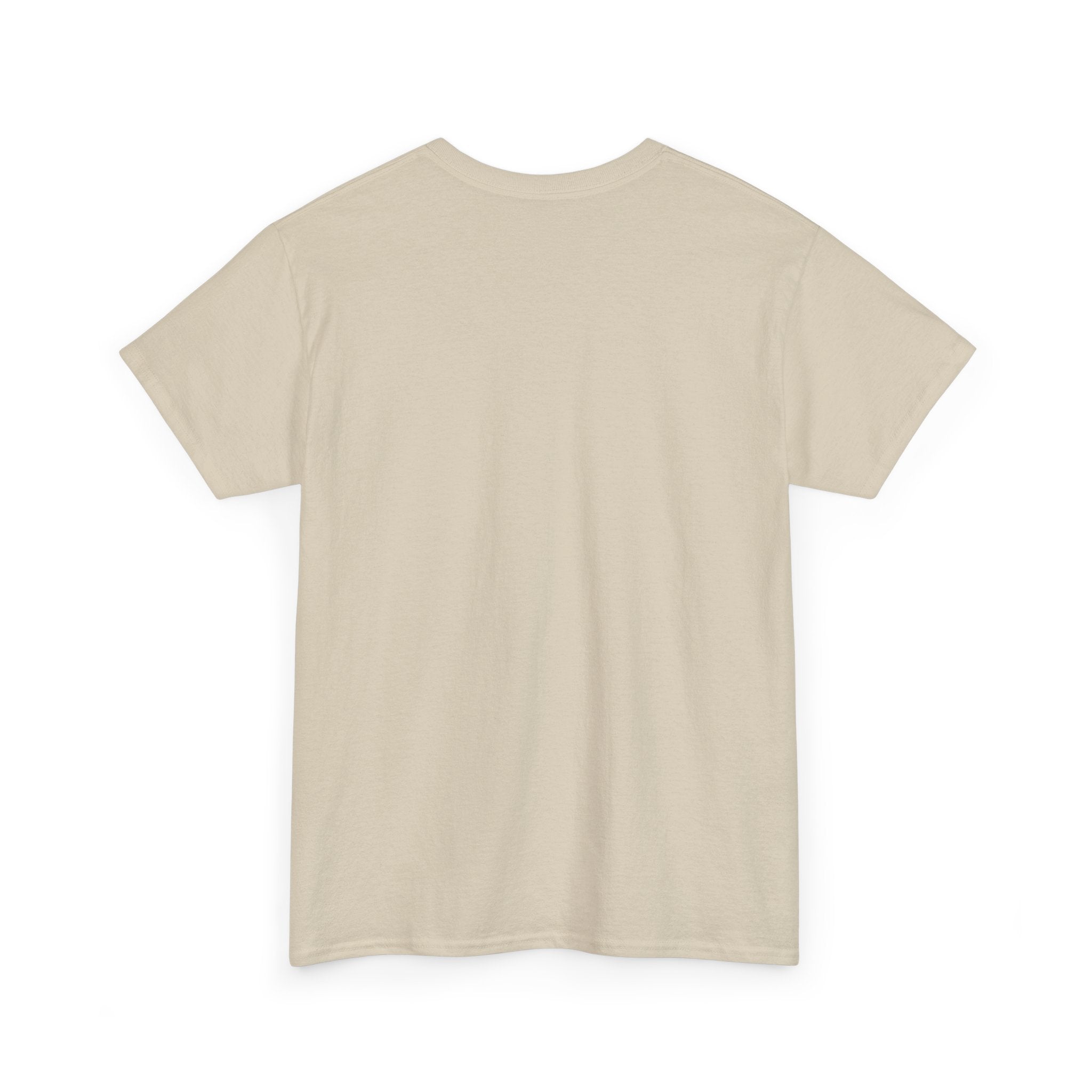 I Support ICE Shirt | American Flag Immigration Enforcement Tee