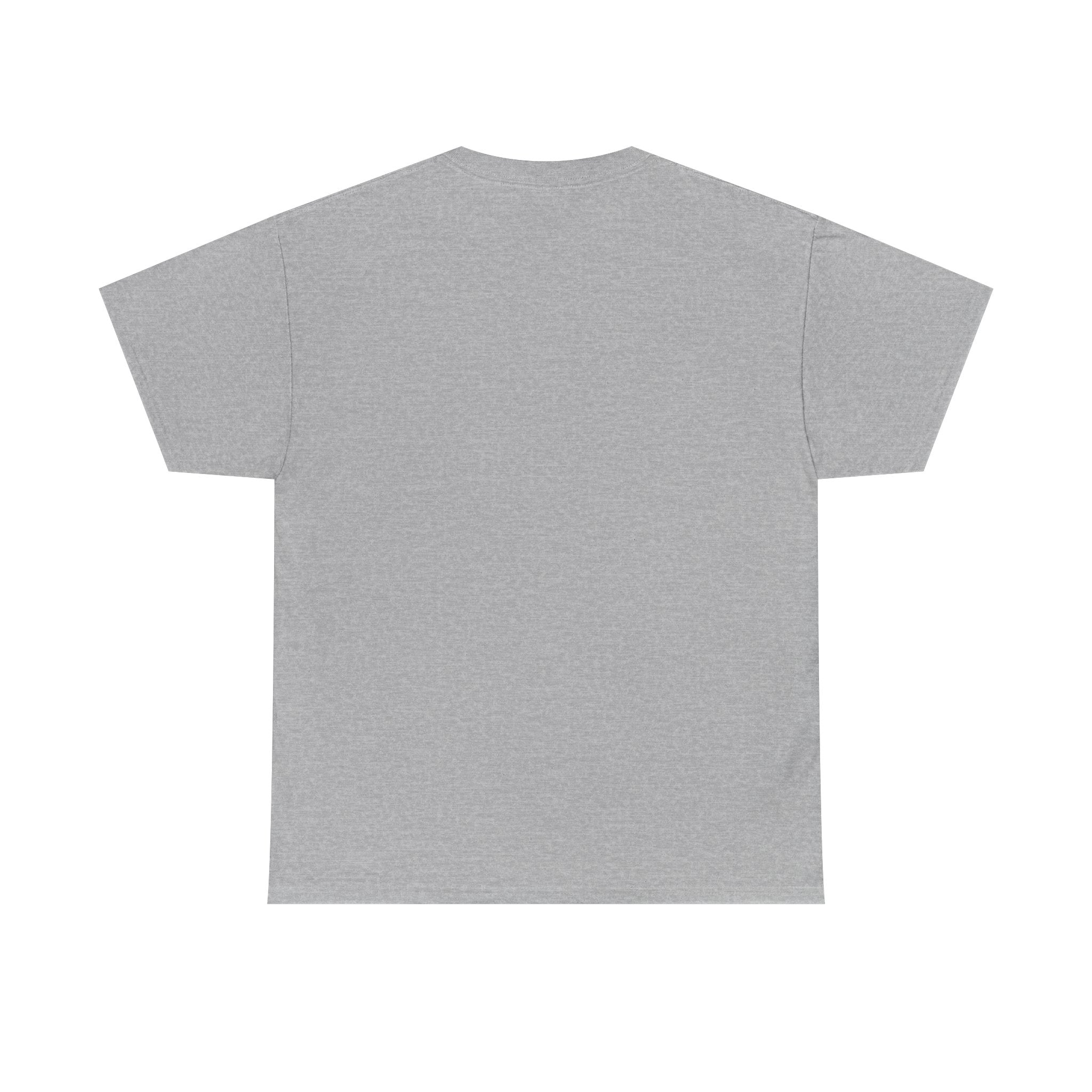 Role Model photo tee | Vintage Punk Rock band shirt